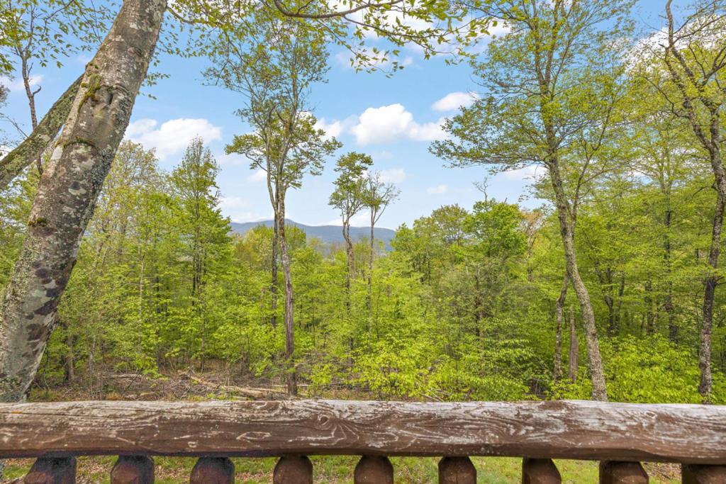 Lucky Bear Cabin Banner Elk Esterno foto